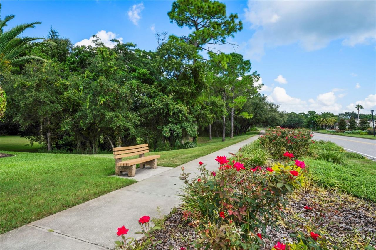11261 Mcracken Drive , Spring Hill, FL 34609 Photo