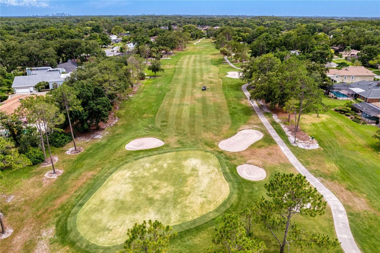 13305 Golf Crest Circle, Tampa, FL 33618 Photo