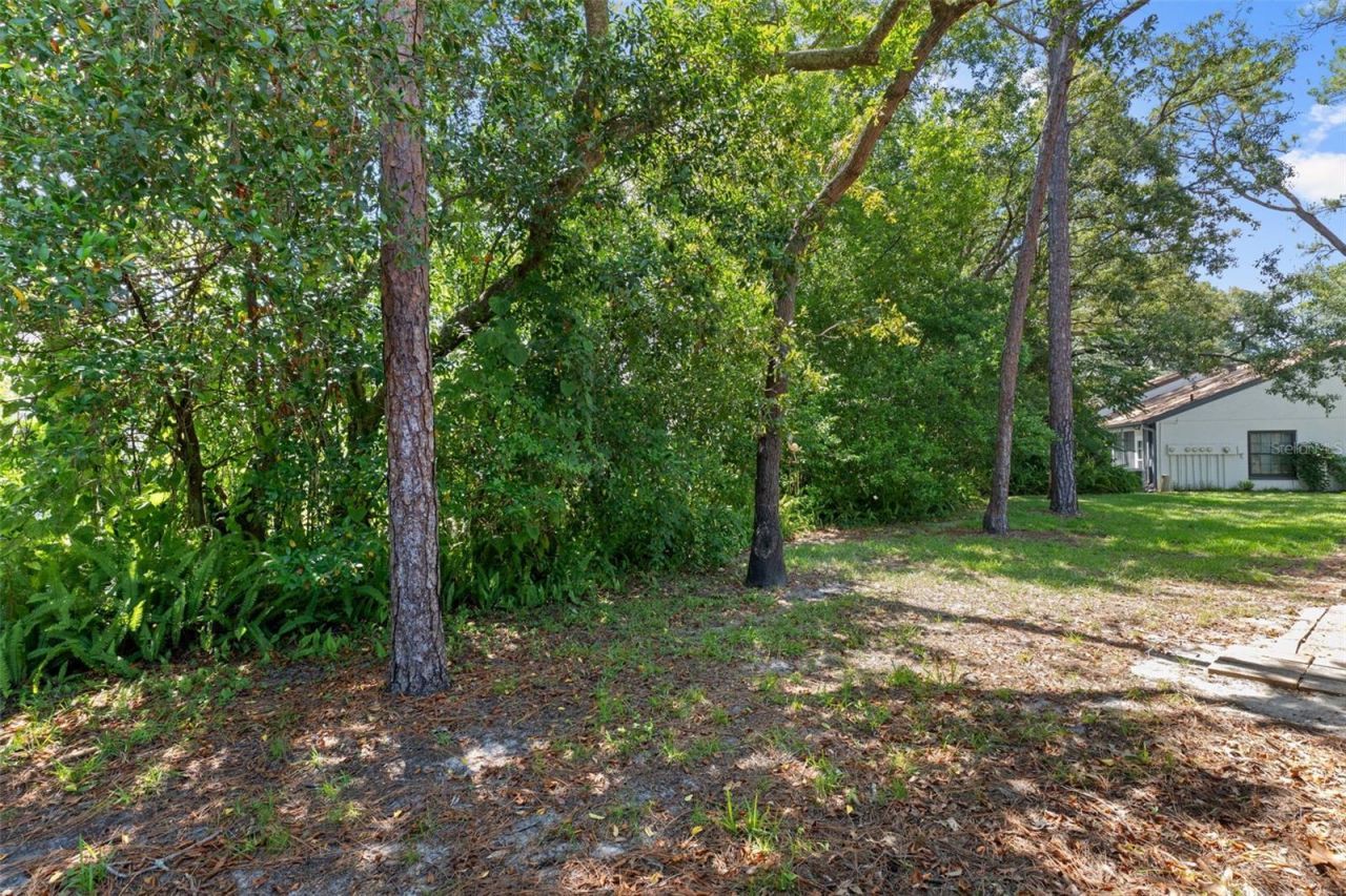 2102 Forester Way , Spring Hill, FL 34606 Photo