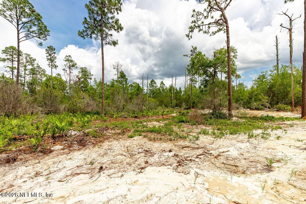230 Redeye Road, Florahome, FL 32140 Photo