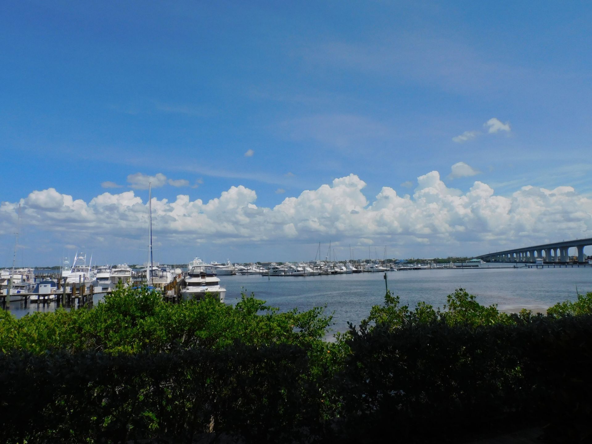 815 NW Flagler Avenue, Unit 302, Stuart, FL 34994 Photo
