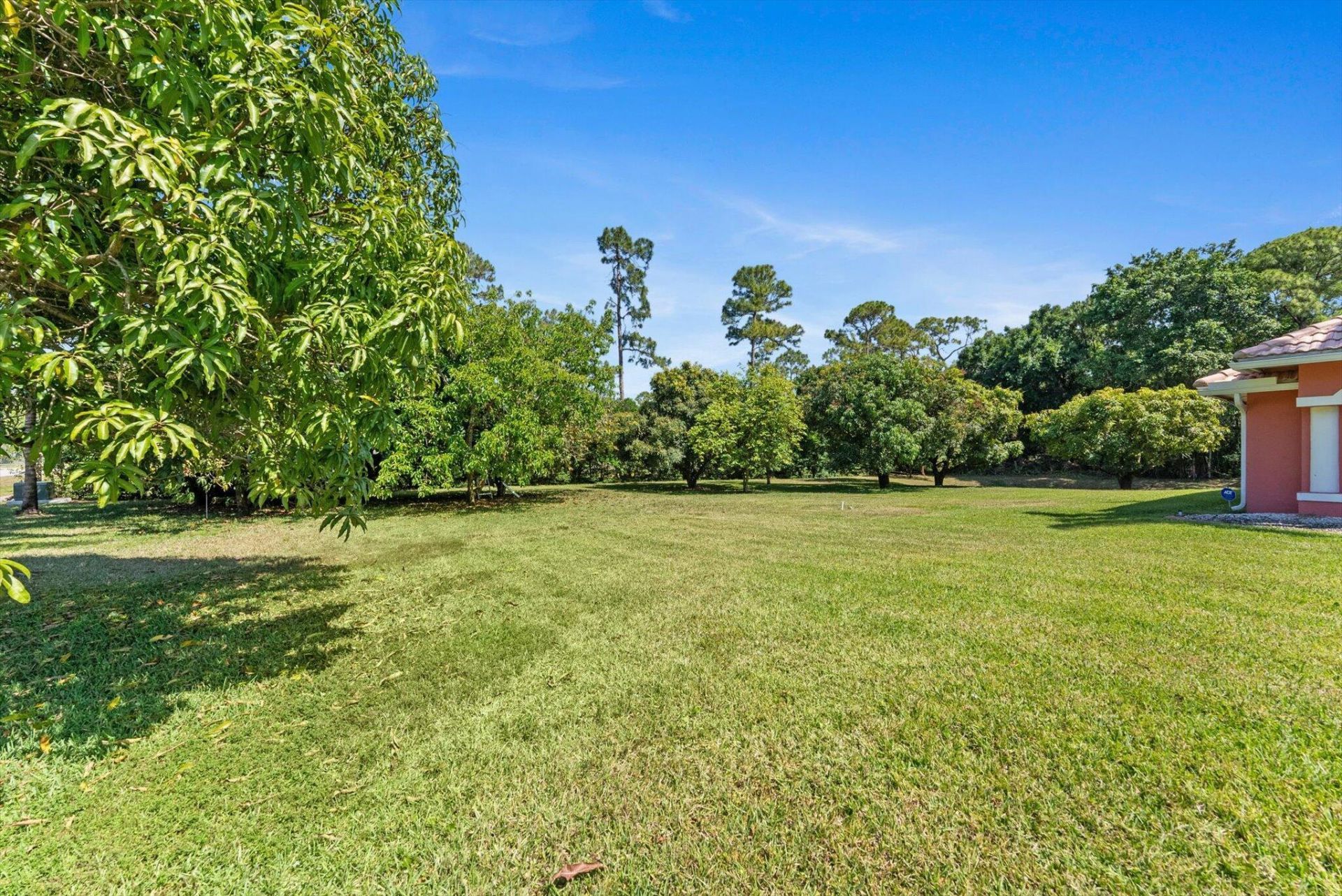14844 Tangerine Boulevard, The Acreage, FL 33470 Photo