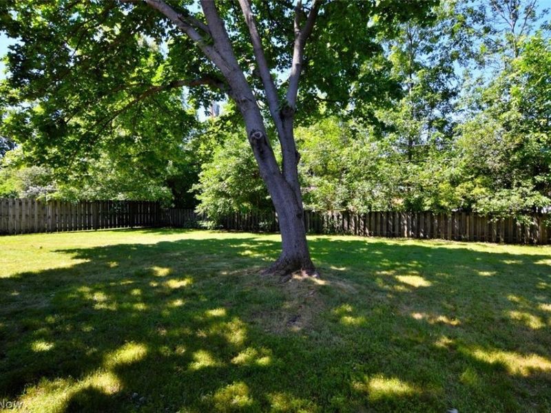 1878 Caronia Drive, Lyndhurst, OH 44124 Photo 33