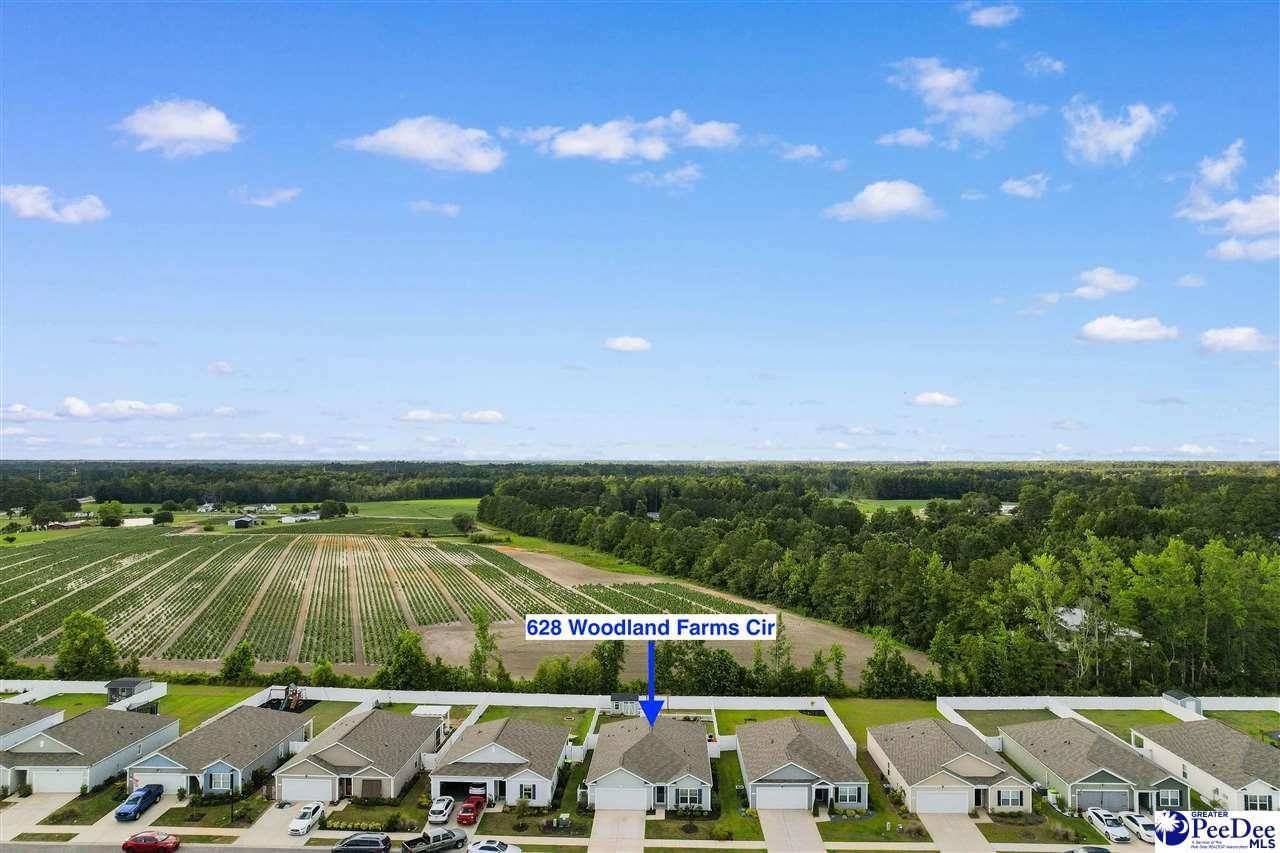 628 Woodland Farms Cir Photo 41