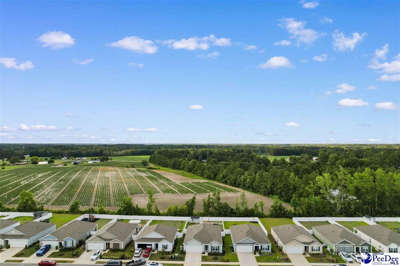 628 Woodland Farms Cir Photo 42