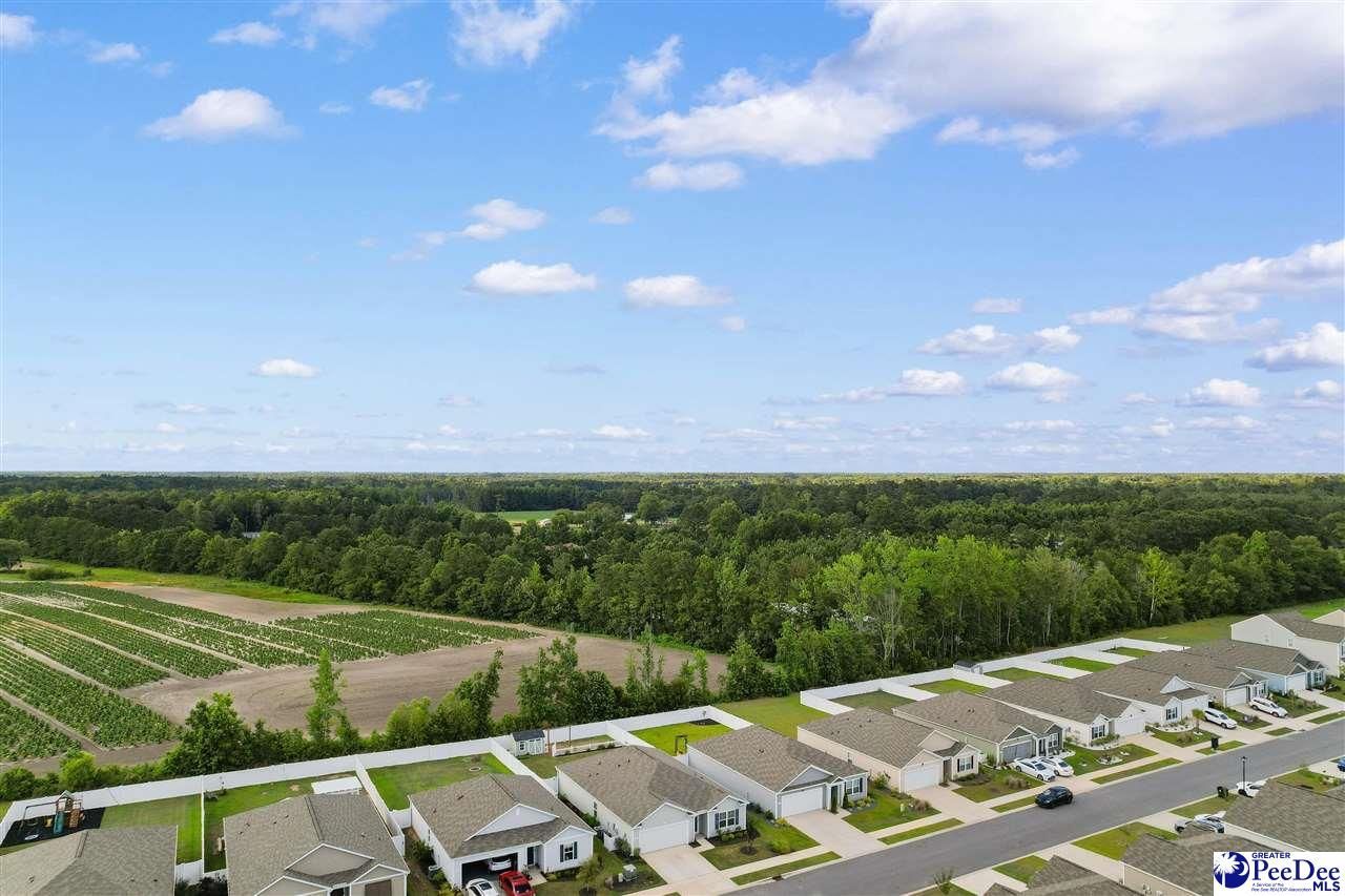 628 Woodland Farms Cir Photo 44