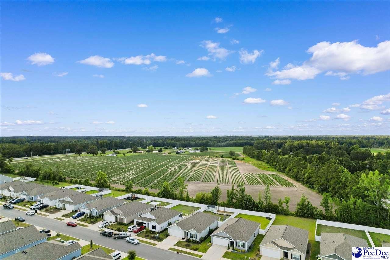 628 Woodland Farms Cir Photo 46