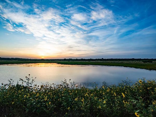 7107 County Road 170 , Bangs, TX 76823