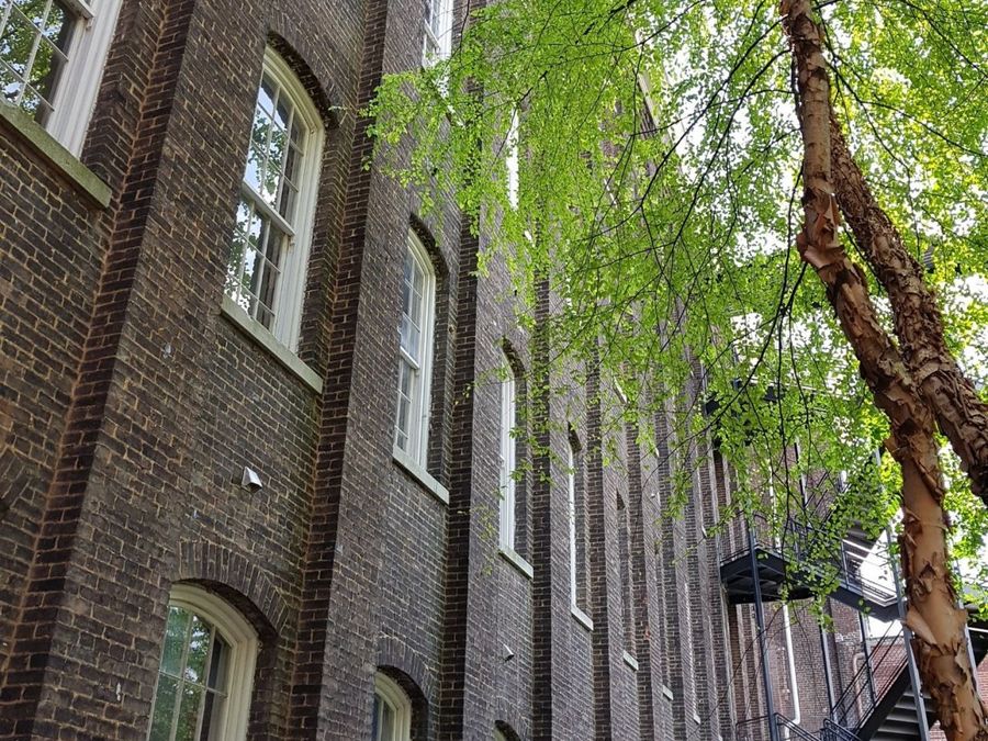 Property Image 26