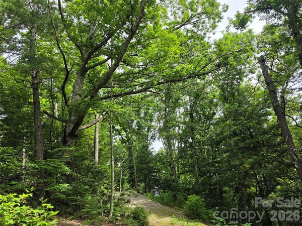 9999 Fairview Forest Drive , Fairview, NC 28730