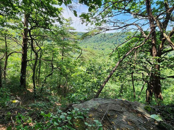0 Eagle Point Drive , Unit 22, Monteagle, TN 37356