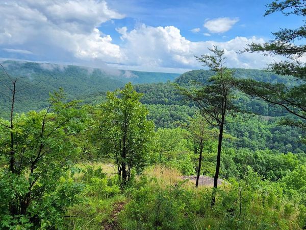 0 Eagle Point Drive , Unit 23, Monteagle, TN 37356