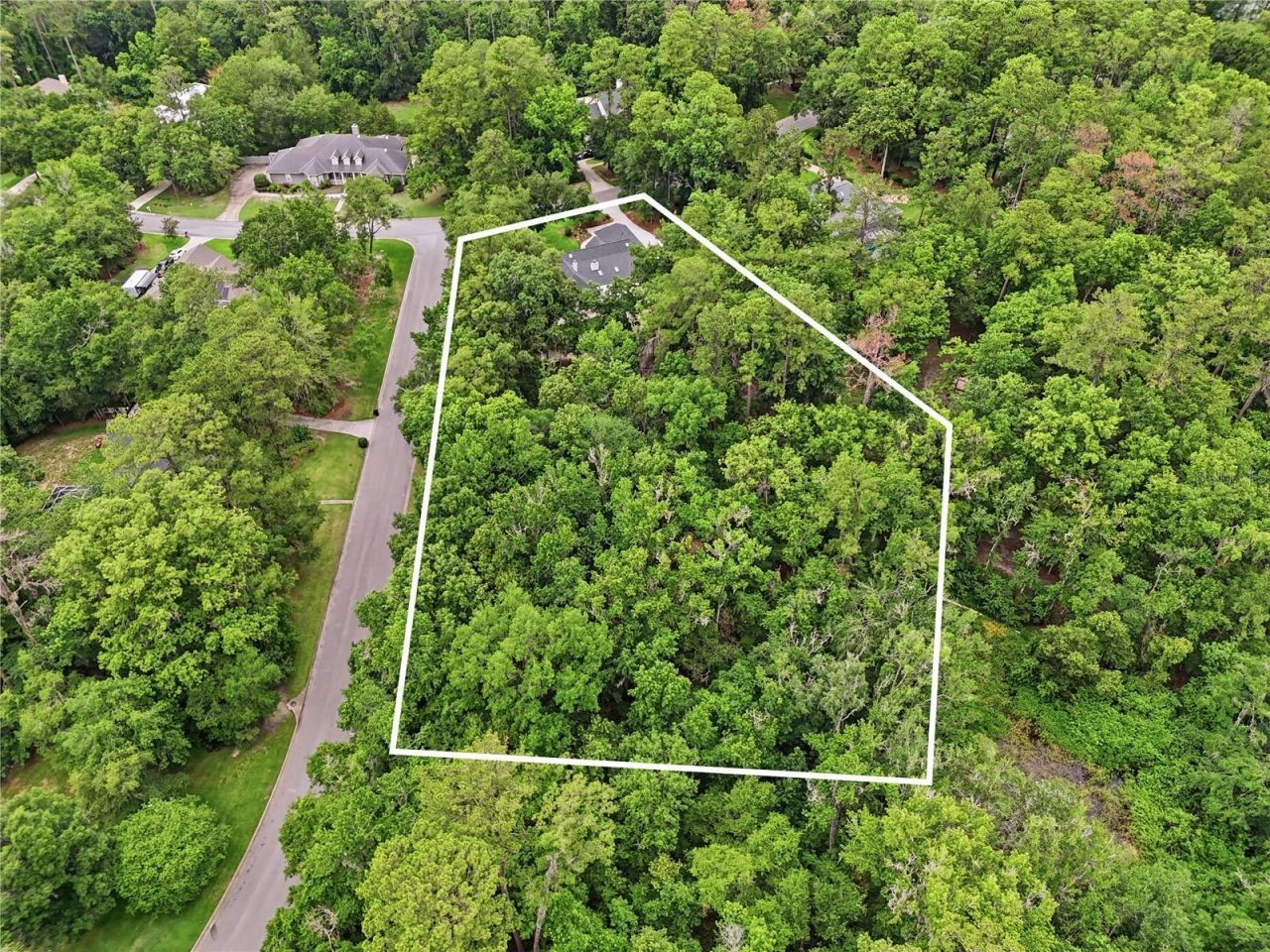 10835 NW 18th Court, Gainesville, FL 32606 Photo