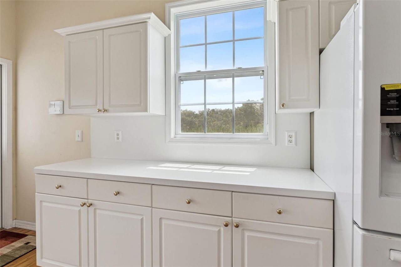 25895 Tilly Hawk Lane, Brooksville, FL 34602 Photo
