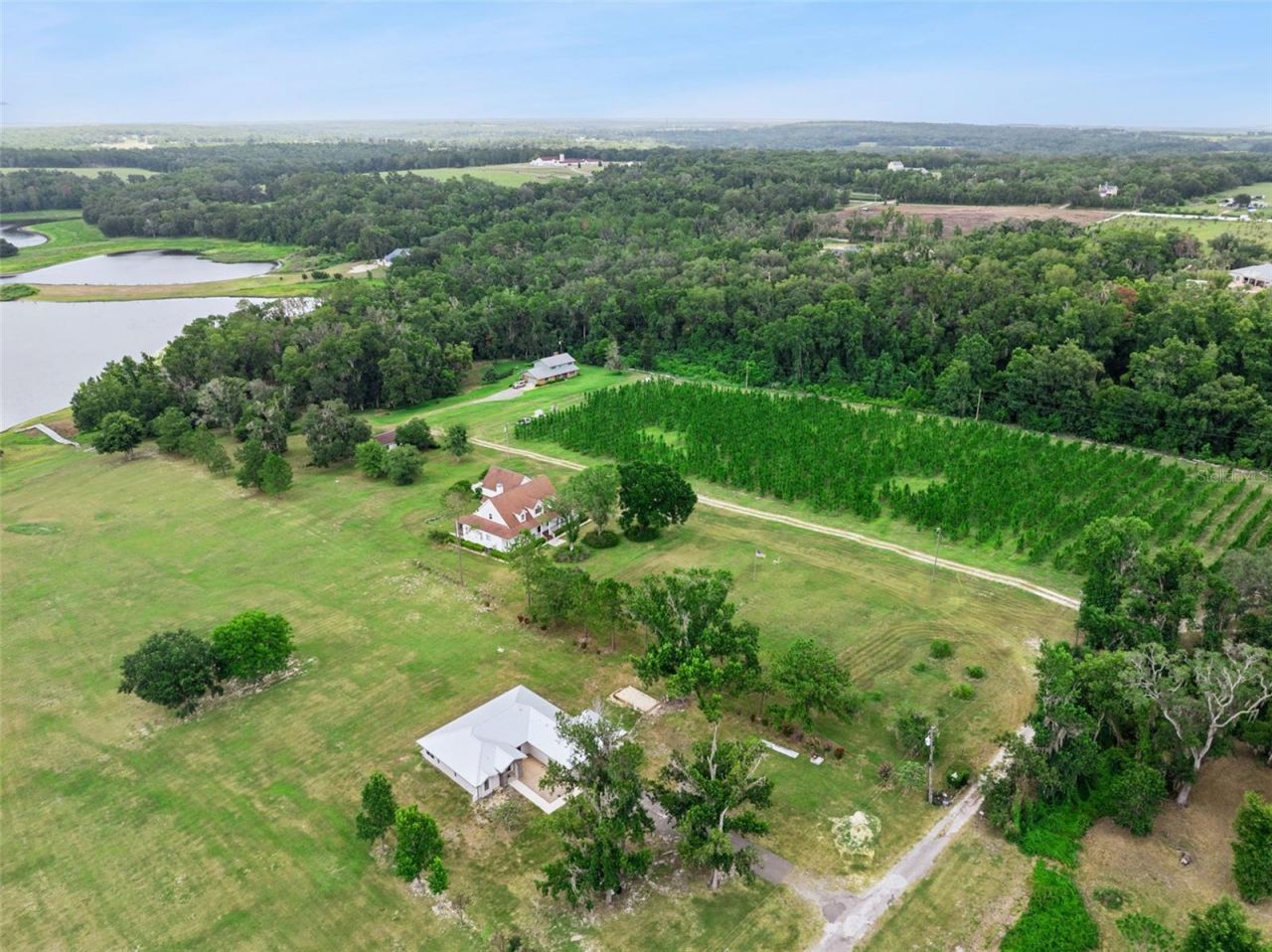 25895 Tilly Hawk Lane, Brooksville, FL 34602 Photo