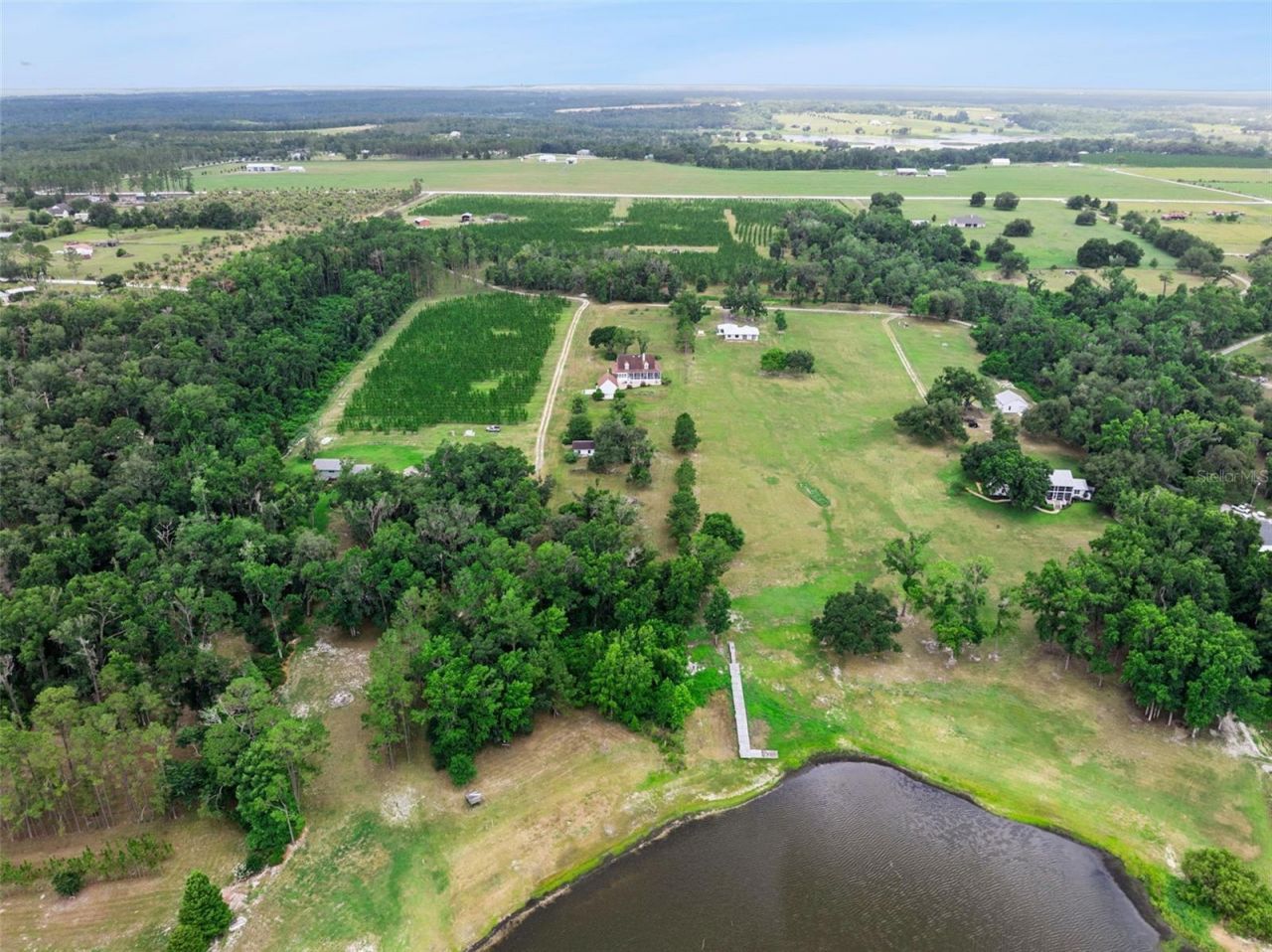 25895 Tilly Hawk Lane, Brooksville, FL 34602 Photo