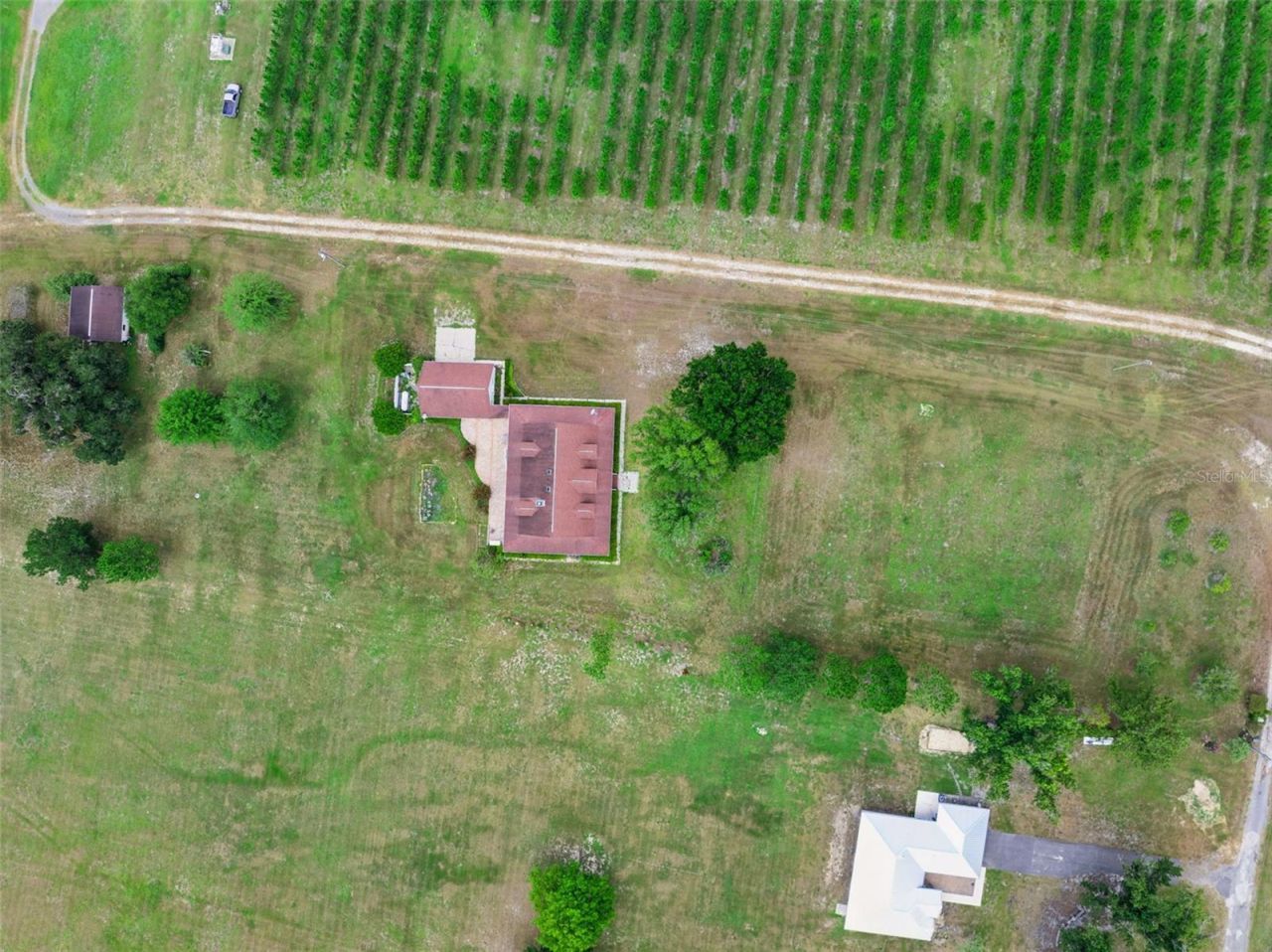 25895 Tilly Hawk Lane, Brooksville, FL 34602 Photo