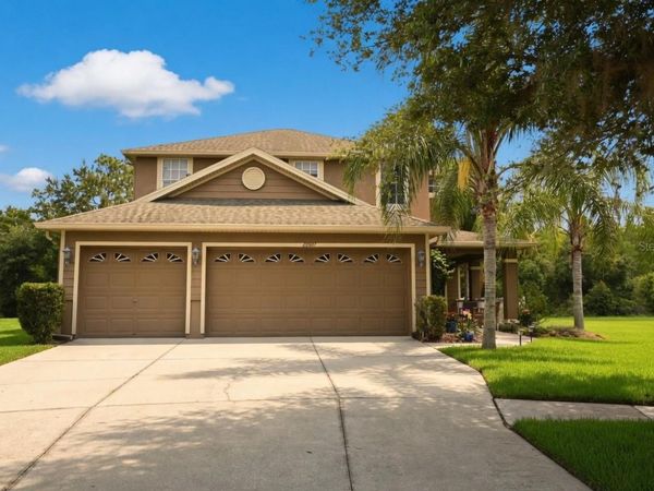 20617 WHITEBUD COURT , TAMPA, FL 33647