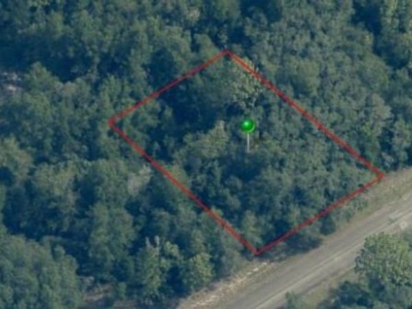 8080 N FIELDSTONE DRIVE , CITRUS SPRINGS, FL 34433