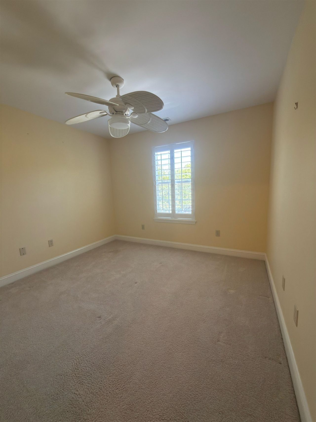 715 Botany Loop  Photo 18