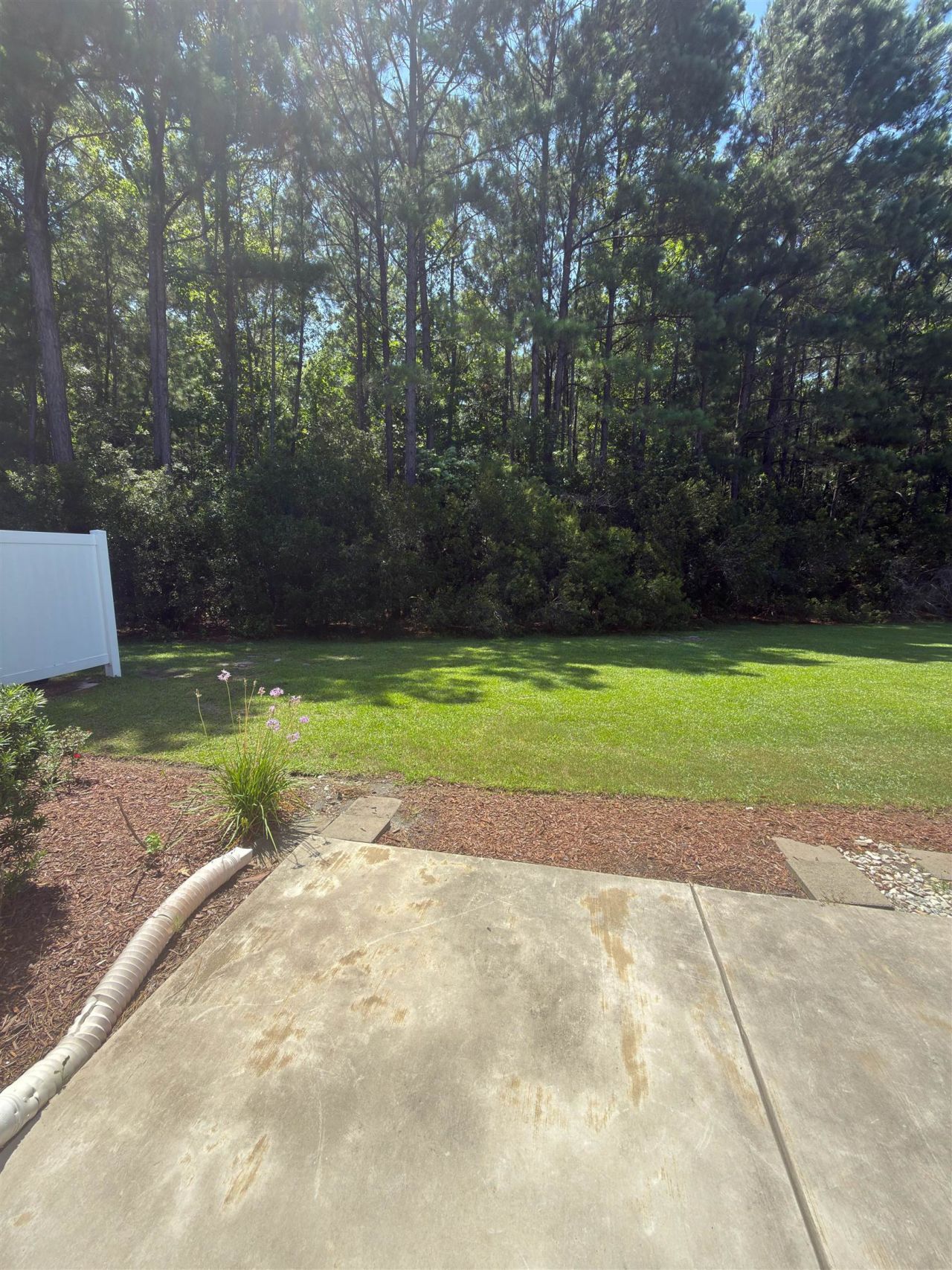 715 Botany Loop  Photo 23