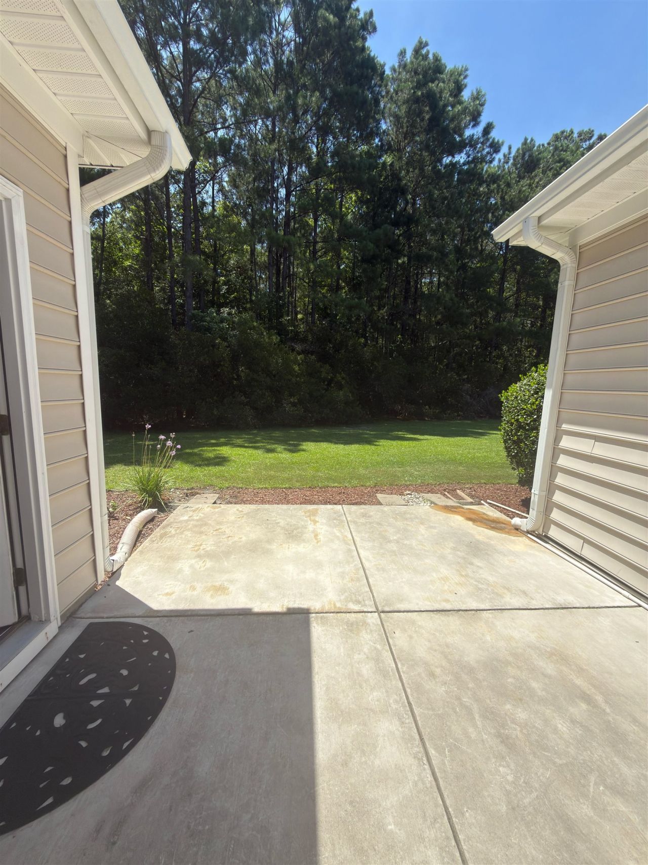 715 Botany Loop  Photo 24