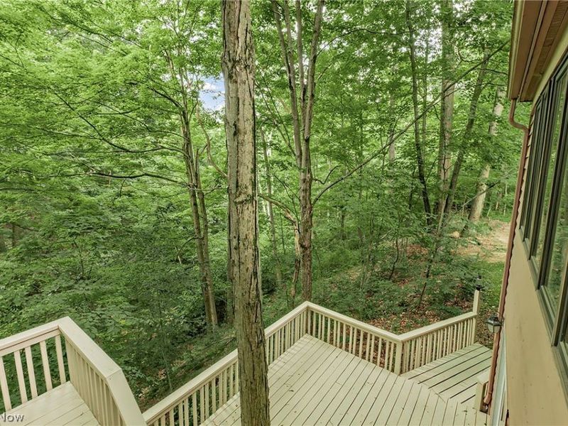 15490 Riddle Road, Chagrin Falls, OH 44022 Photo 37