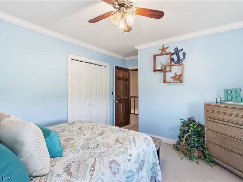 296 County Road 620, West Salem, OH 44287 Photo 35