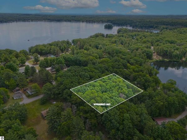 Shelby Street, Fife Lake, MI 49633