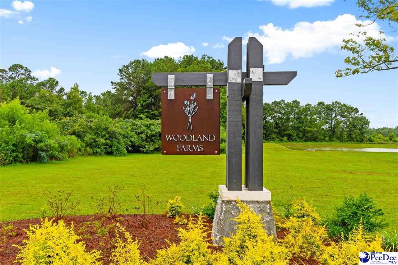 561 Woodland Farms Cir Photo 48