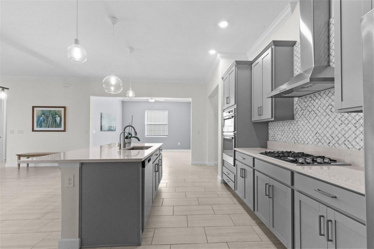12211 Violet Jasper Drive, Parrish, FL 34219 Photo