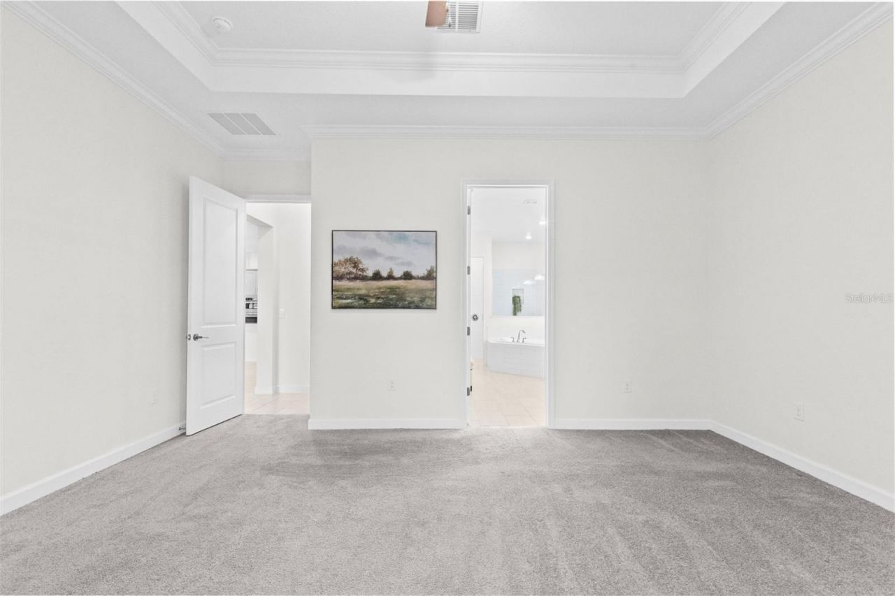 12211 Violet Jasper Drive, Parrish, FL 34219 Photo