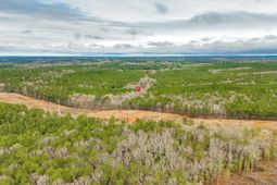 1400 Little River Road  photo 4