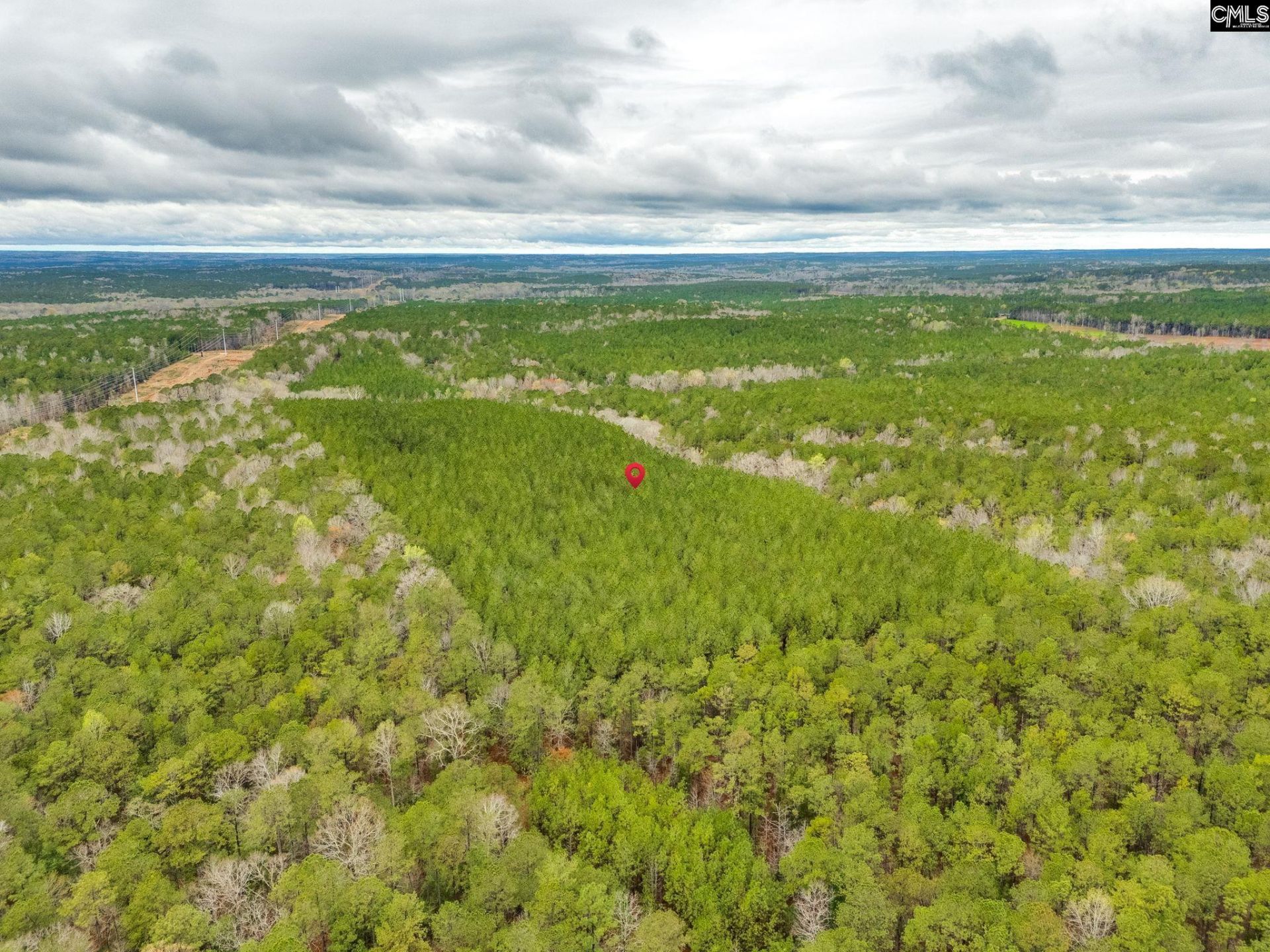 1400 Little River Road  Photo 4