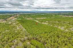 1400 Little River Road  photo 4