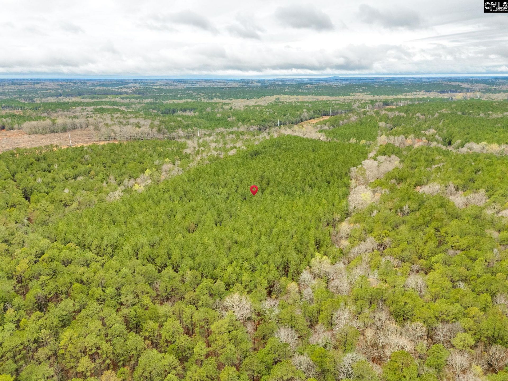 1400 Little River Road  Photo 6