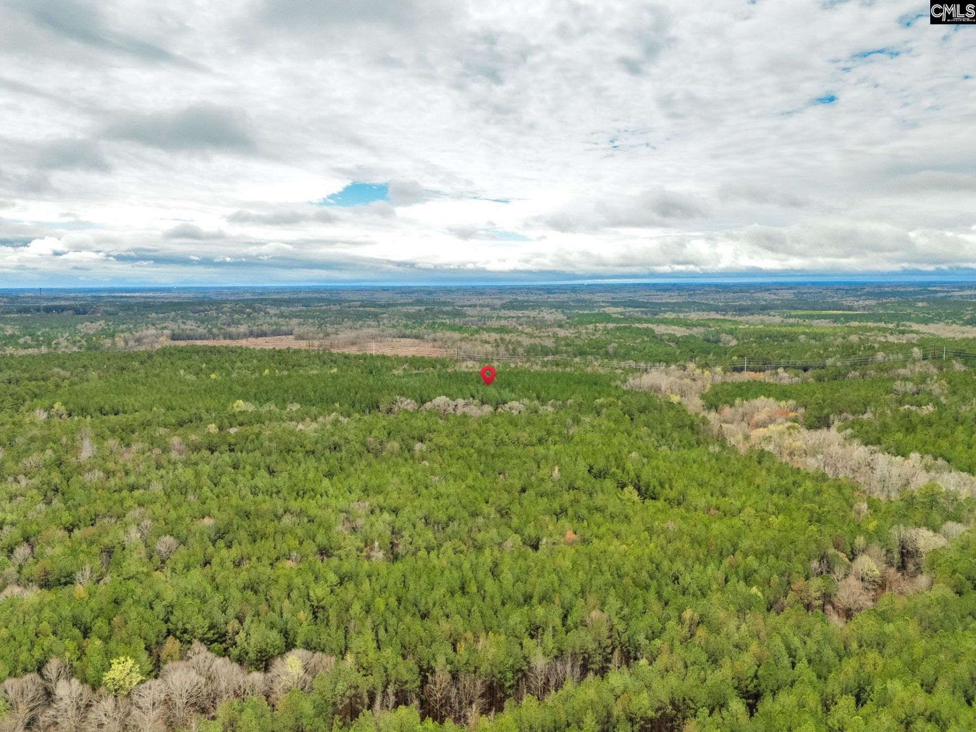 1400 Little River Road  Photo 7