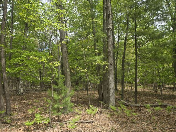 VL 10 ACRE N Ridge ROAD Road, Mears, MI 49436