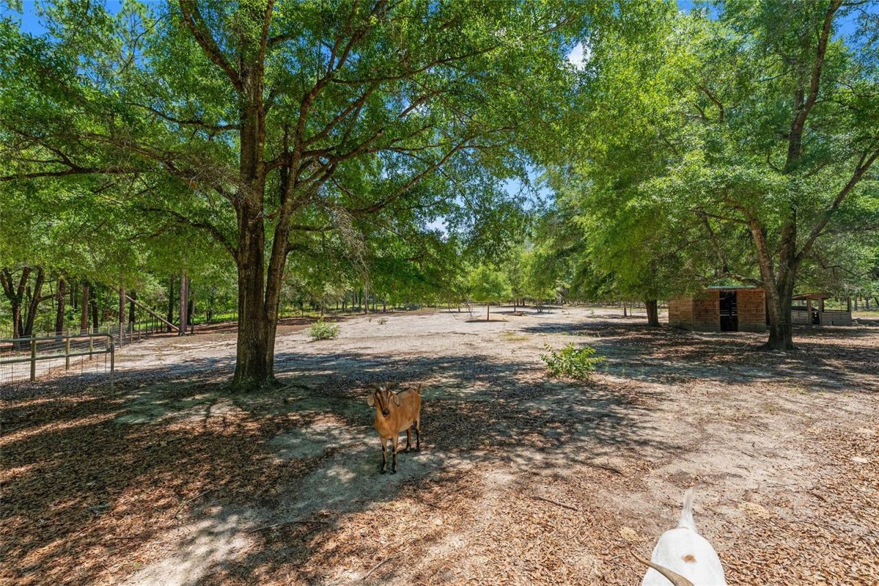357 SW Conestoga Way, Fort White, FL 32038 Photo