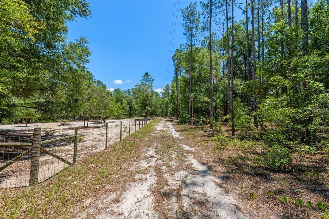 357 SW Conestoga Way, Fort White, FL 32038 Photo