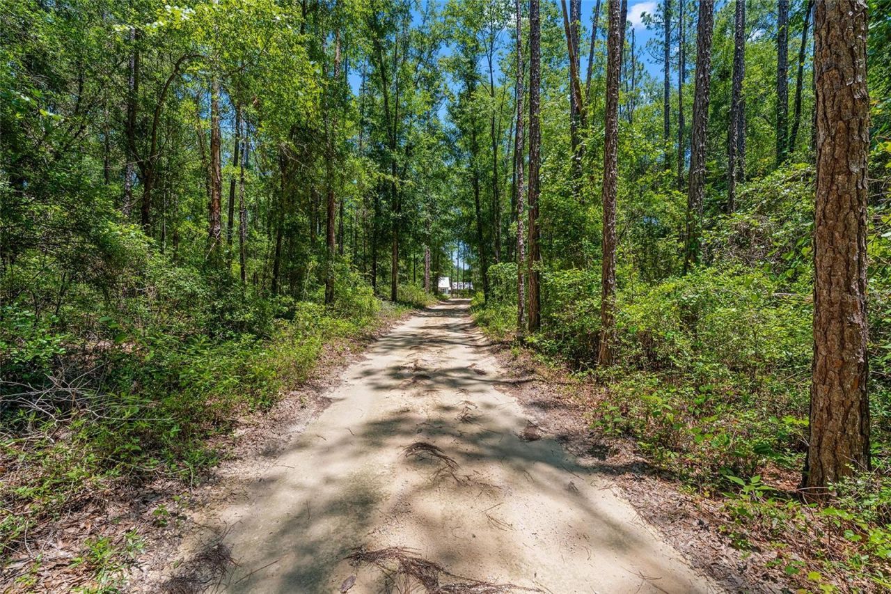 357 SW Conestoga Way, Fort White, FL 32038 Photo