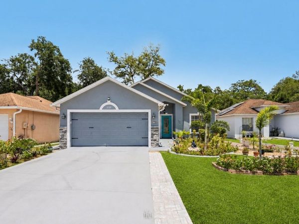 8709 BUSCH OAKS STREET , TAMPA, FL 33617