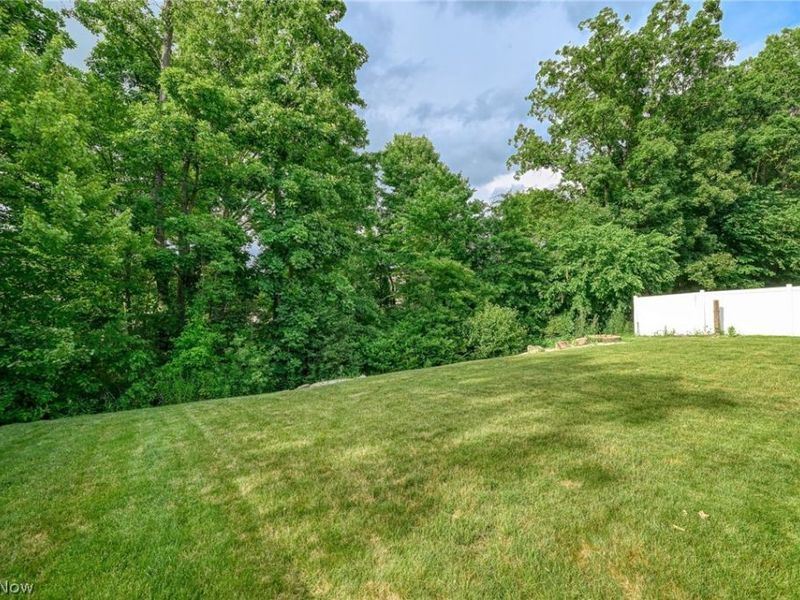 123 quartz Avenue, Peninsula, OH 44264 Photo 9