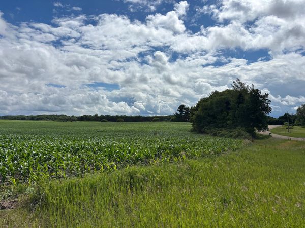 28015 Redhead Drive, Underwood, MN 56586