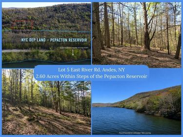 Lot 5 East River Road, Andes, NY 13731