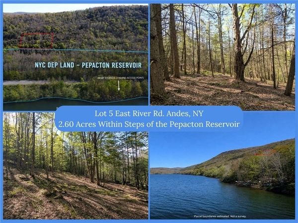 Lot 5 East River Road , Andes, NY 13731