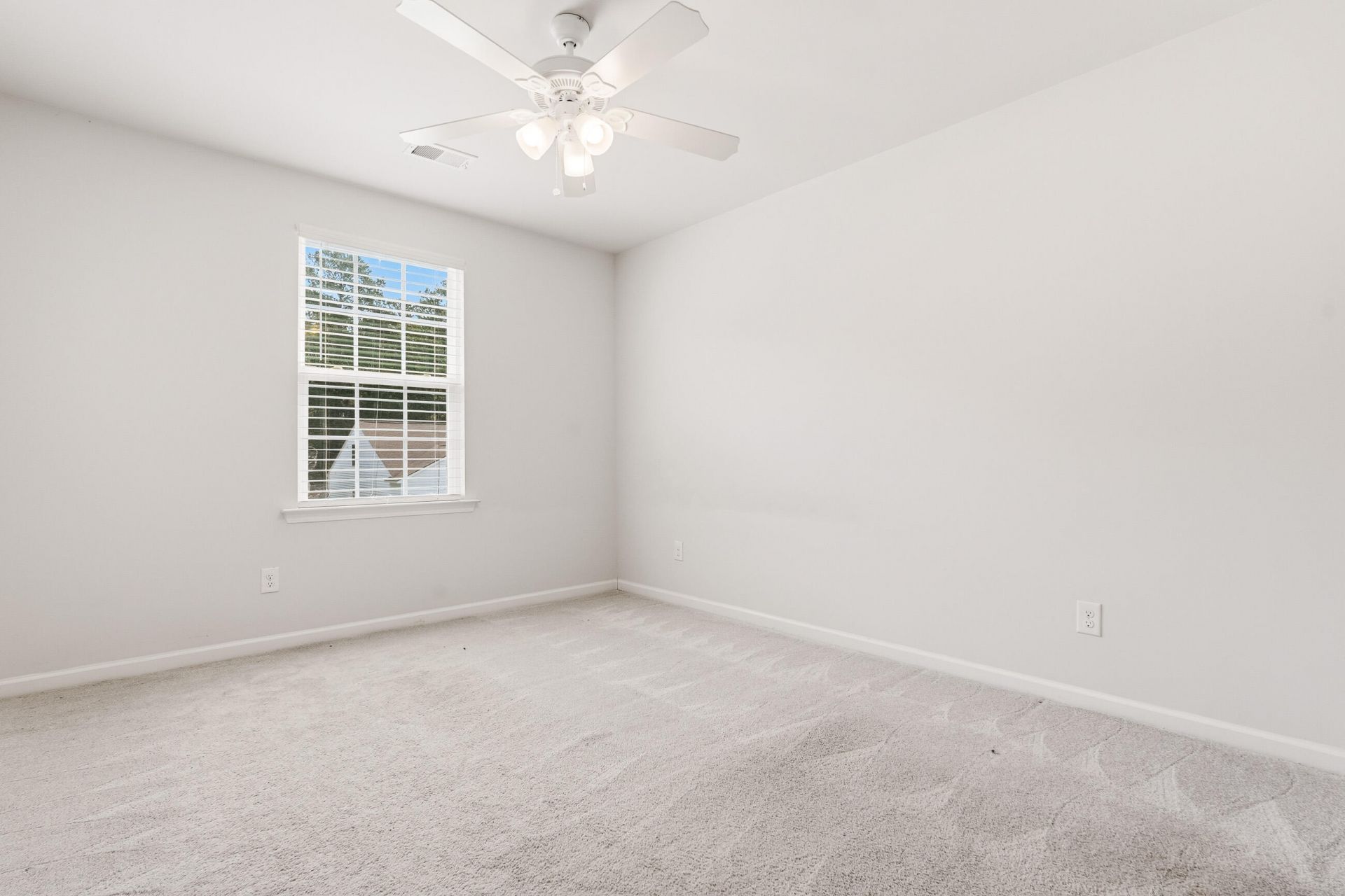 137 Daniels Creek Circle Photo 56