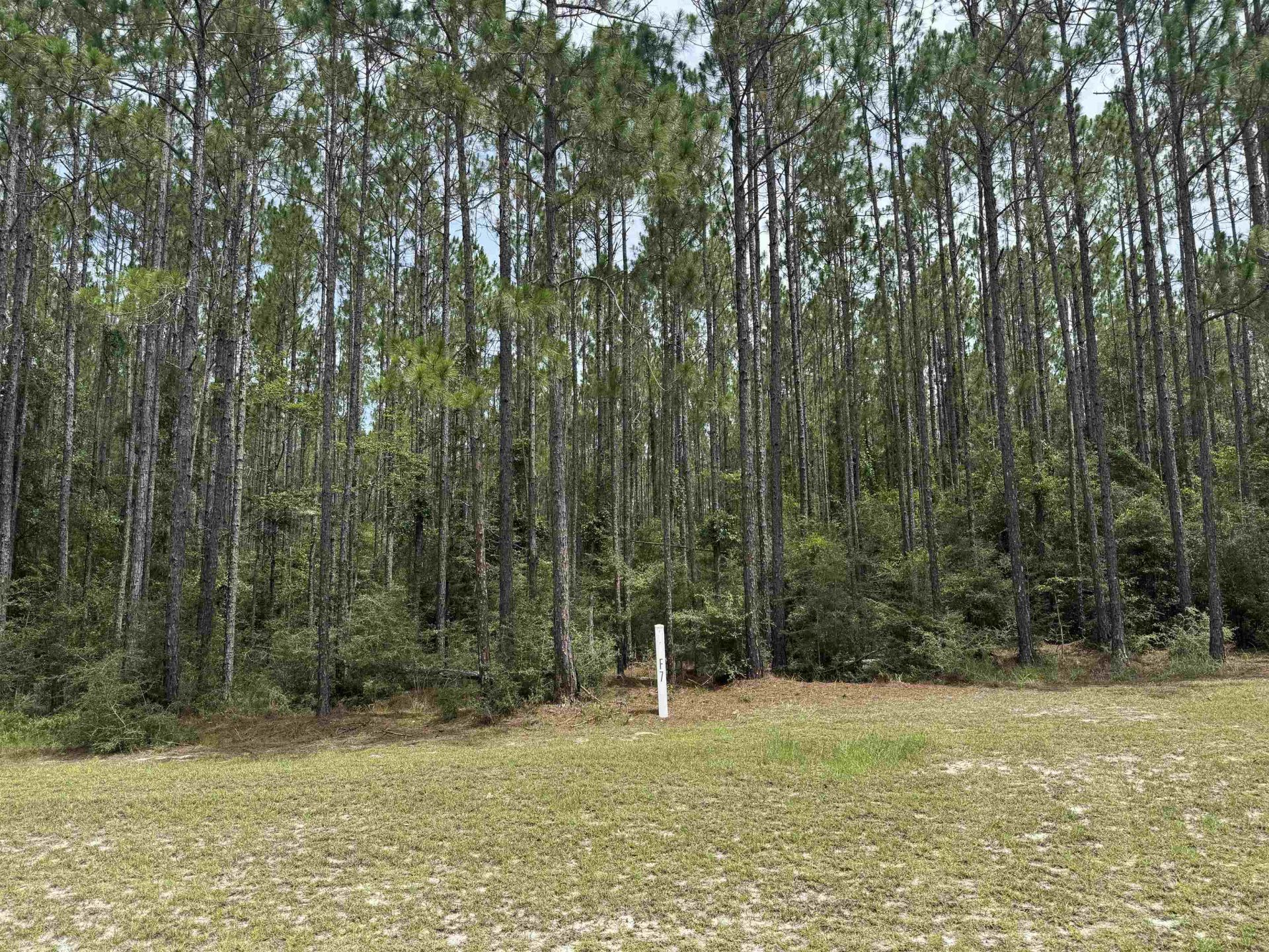 Lot 7 Block F Ranch Club Road, Tallahassee, FL 32305 Main Photo