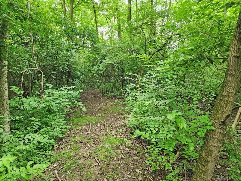 Tract 3 W Jackson Road, Springfield, OH 45502 Photo 6
