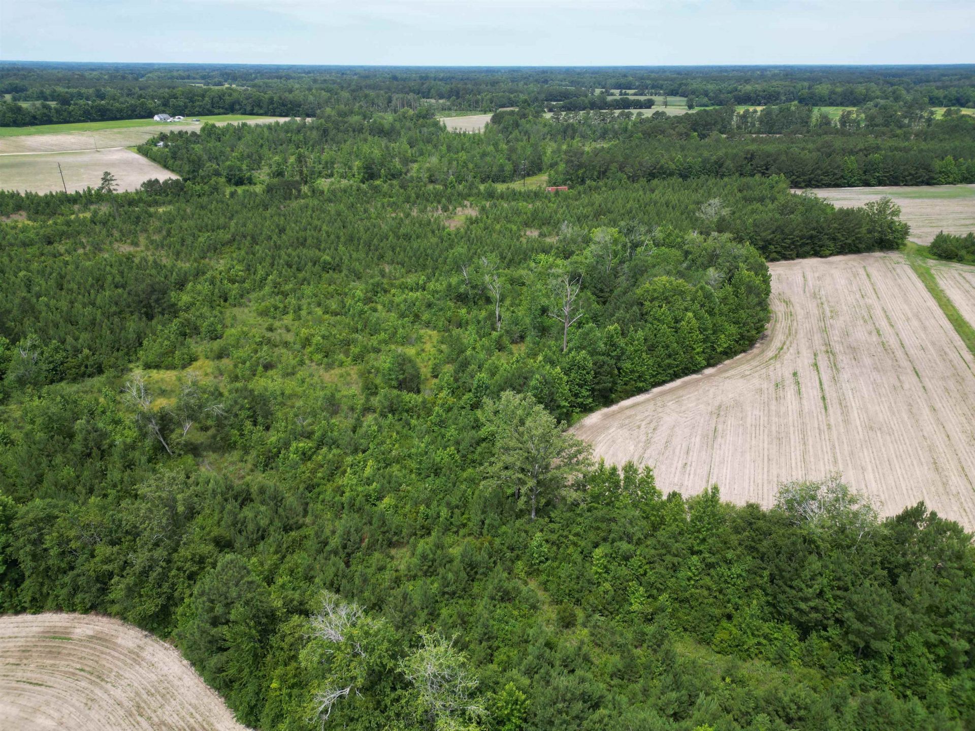 Tbd Church Rd. Photo 14